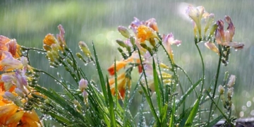 El SMN anunció una semana con al menos tres días de lluvias