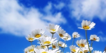 Llegó septiembre y anuncian mayores temperaturas para el fin de semana