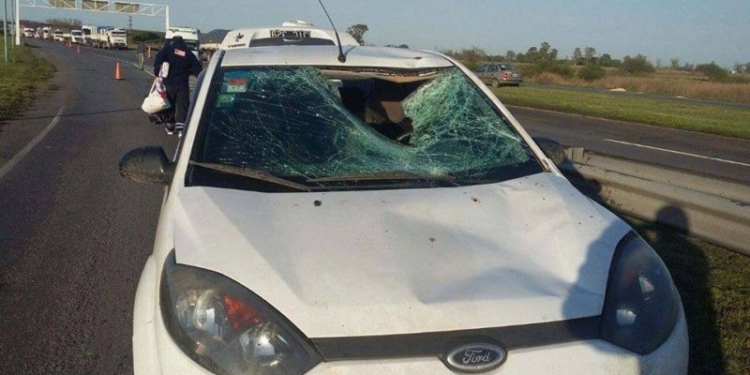 Atropellaron a una agente de Seguridad Vial y hay caos en autopista