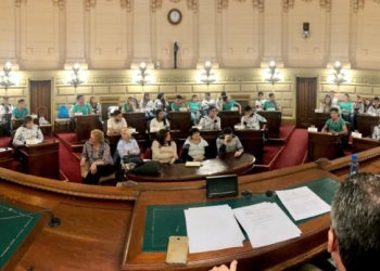 Alumnos de la escuela N° 437 participaron del programa «Jóvenes en el Senado»