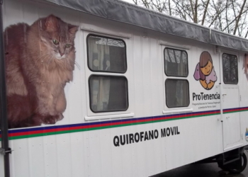 Otras 45 mascotas fueron esterilizadas en Oliveros