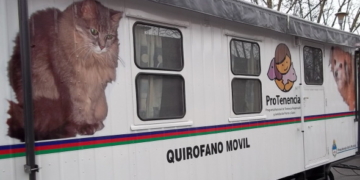 Otras 45 mascotas fueron esterilizadas en Oliveros