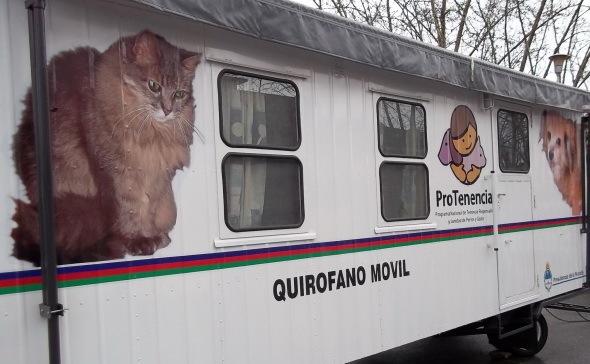 Otras 45 mascotas fueron esterilizadas en Oliveros