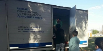 Díaz sumará más castraciones de mascotas