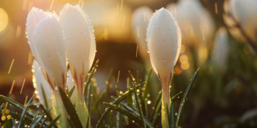 Alerta meteorológico para el centro y sur de Santa Fe