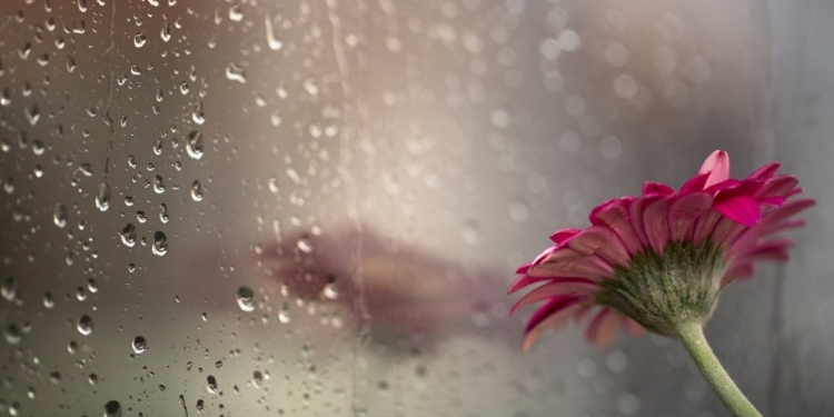 Santa Fe bajo alerta meteorológico por tormentas fuertes