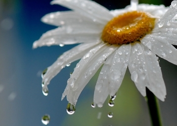 Pronosticaron lluvias y tormentas para el fin de semana