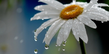 Pronosticaron lluvias y tormentas para el fin de semana