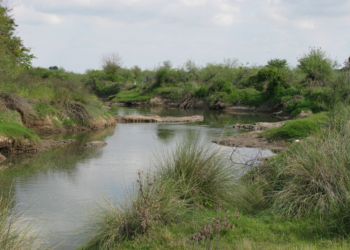 Insisten en no canalizar el Arroyo de Monje y declararlo Área Natural Protegida