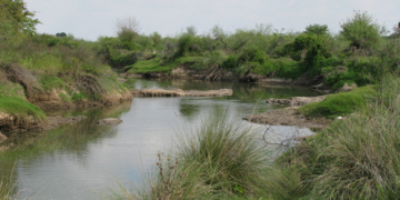 Insisten en no canalizar el Arroyo de Monje y declararlo Área Natural Protegida