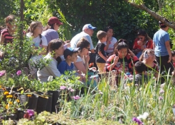 Totoras celebrará la feria del vivero inclusivo