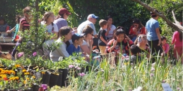 Totoras celebrará la feria del vivero inclusivo