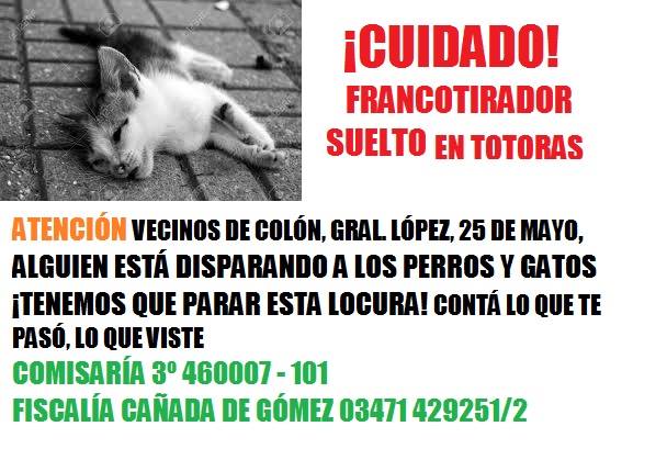 Indignación en Totoras por un tirador que asesina mascotas