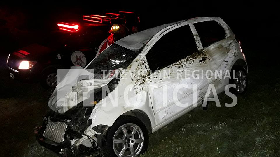 Milagro en autopista: dos autos impactaron contra una manada de vacas