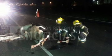 Milagro en autopista: dos autos impactaron contra una manada de vacas