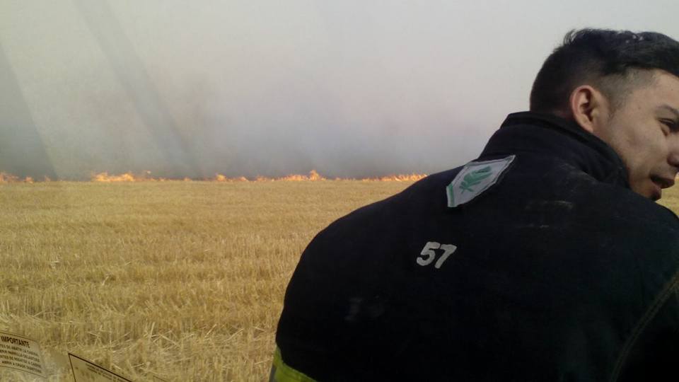 Cientos de hectáreas de la región fueron consumidas por el fuego