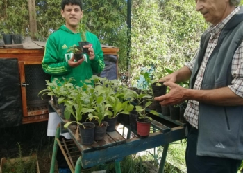 A colaborar: venta de plantines en la escuela especial de San Genaro