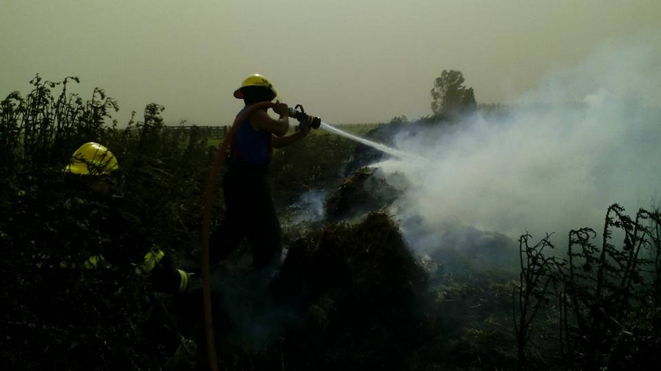 Cientos de hectáreas de la región fueron consumidas por el fuego