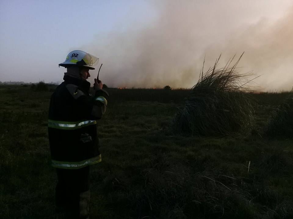 Cientos de hectáreas de la región fueron consumidas por el fuego