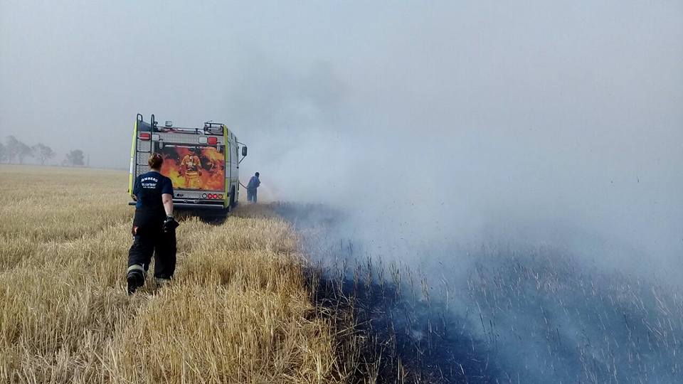Cientos de hectáreas de la región fueron consumidas por el fuego