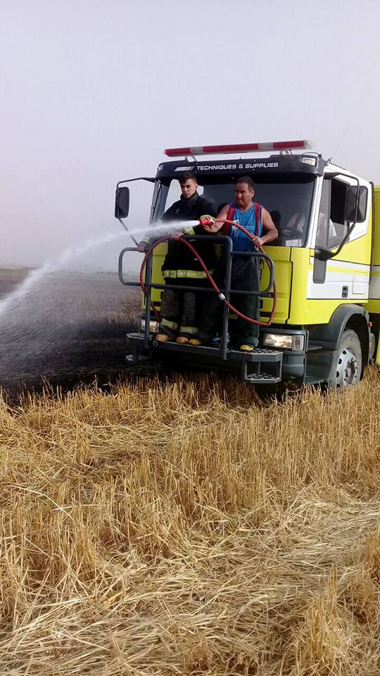 Cientos de hectáreas de la región fueron consumidas por el fuego