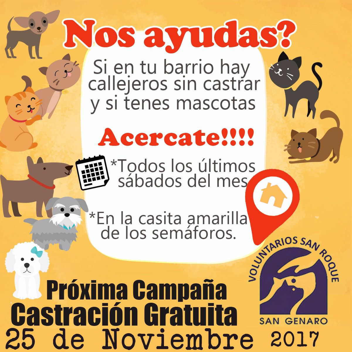 San Genaro: nueva campaña de castración gratuita