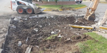 Salto Grande eliminó una peligrosa cortada y suma espacio verde