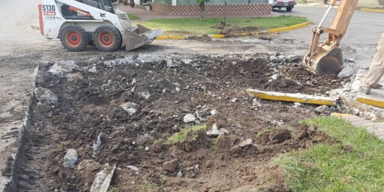 Salto Grande eliminó una peligrosa cortada y suma espacio verde