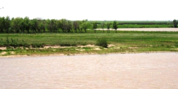 Dos policias salvaron la vida de un joven que se descompensó y cayó a un arroyo