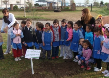 Niños y niñas de Totoras apadrinaron árboles sobre ruta 91