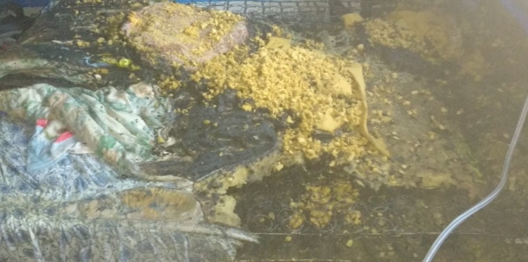 Las llamas tomaron una vivienda y dos mujeres fueron rescatadas del lugar