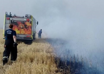 Cientos de hectáreas de la región fueron consumidas por el fuego