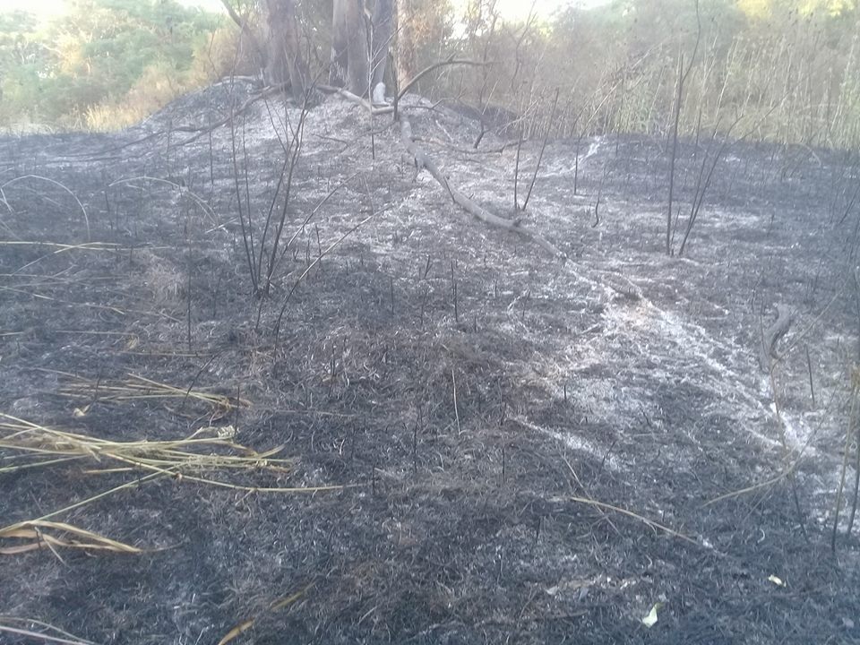 Andino: varios incendios intencionales afectaron la Reserva Natural
