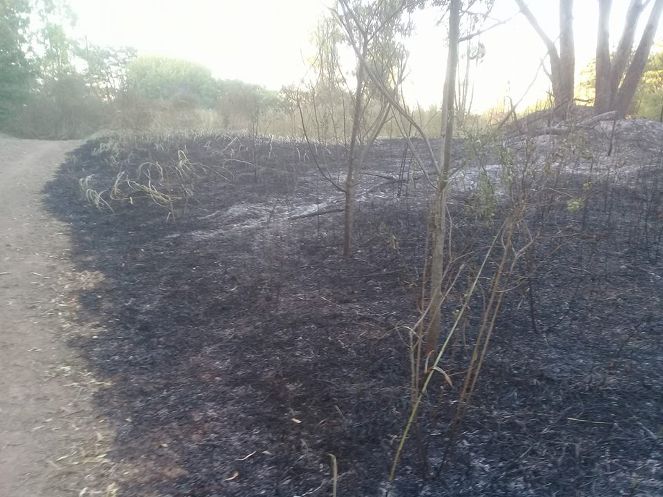 Andino: varios incendios intencionales afectaron la Reserva Natural