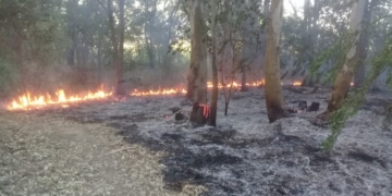 Andino: varios incendios intencionales afectaron la Reserva Natural