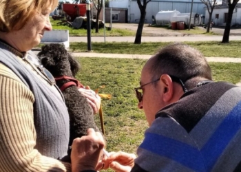 Salto Grande: comenzó la vacunación antirrábica gratuita