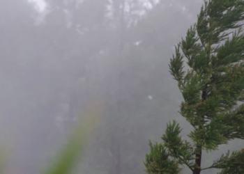 Alerta por fuertes vientos para el sur de la provincia de Santa Fe