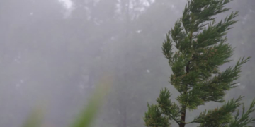 Alerta por fuertes vientos para el sur de la provincia de Santa Fe