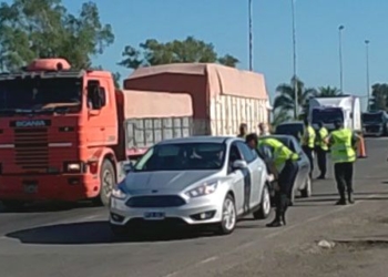 Camionero evadió control y encaró a un agente: fue detenido