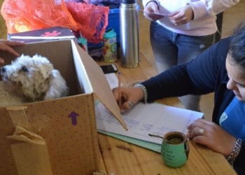 Primera castración del año en Timbúes totalmente gratis