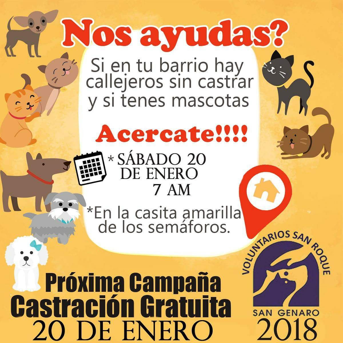 Nueva jornada de castración gratuita en San Genaro