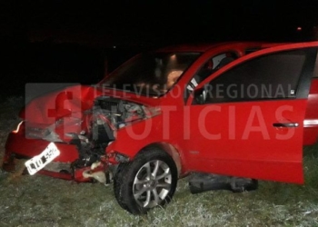 Un automóvil impactó contra un cerdo que cruzaba la autopista