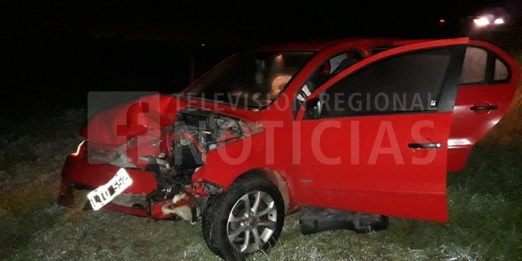 Un automóvil impactó contra un cerdo que cruzaba la autopista