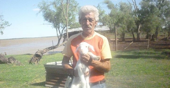 Crió a sus chivitos como mascotas y se los robaron