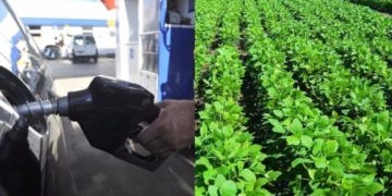 Suben los combustibles y bajan las retenciones a la soja