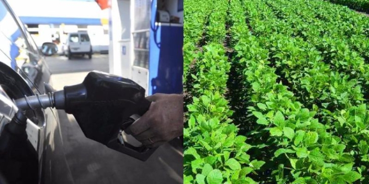 Suben los combustibles y bajan las retenciones a la soja