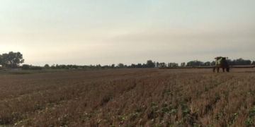 Fumigación: trabajador denunció que fue amenazado de muerte en Andino