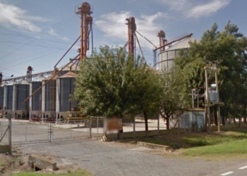 Milagro en Monje: rescataron a un camionero que quedó sepultado por cereal