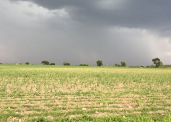 Emitieron el quinto alerta meteorológico por tormentas