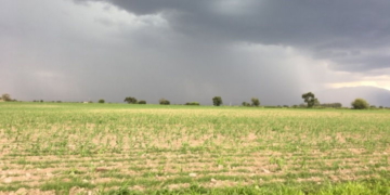 Emitieron el quinto alerta meteorológico por tormentas